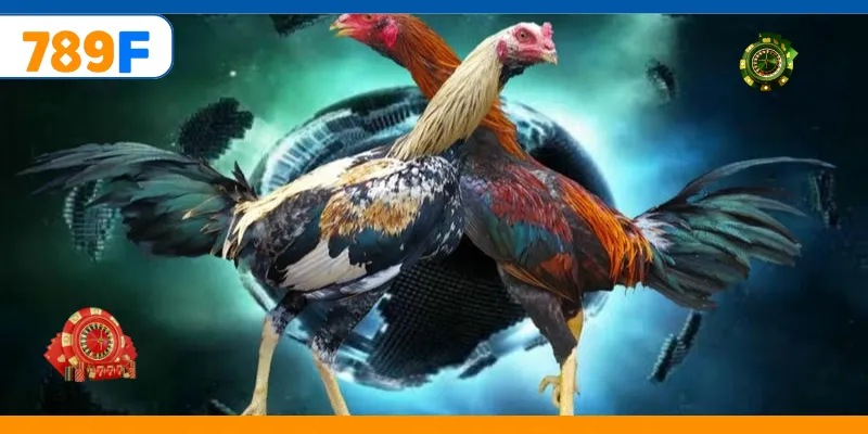 Đá Gà Cựa Dao – Trải Nghiệm Cá Cược Online Kịch Tính