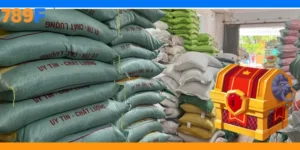 789F Tặng Gạo Cuba: Lan Tỏa Yêu Thương Và Chia Sẻ Cộng Đồng